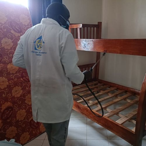 bedbugs exterminators in nairobi