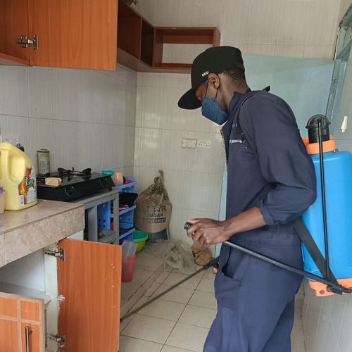 cockroach control nairobi