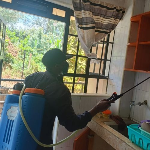 pest control services nairobi