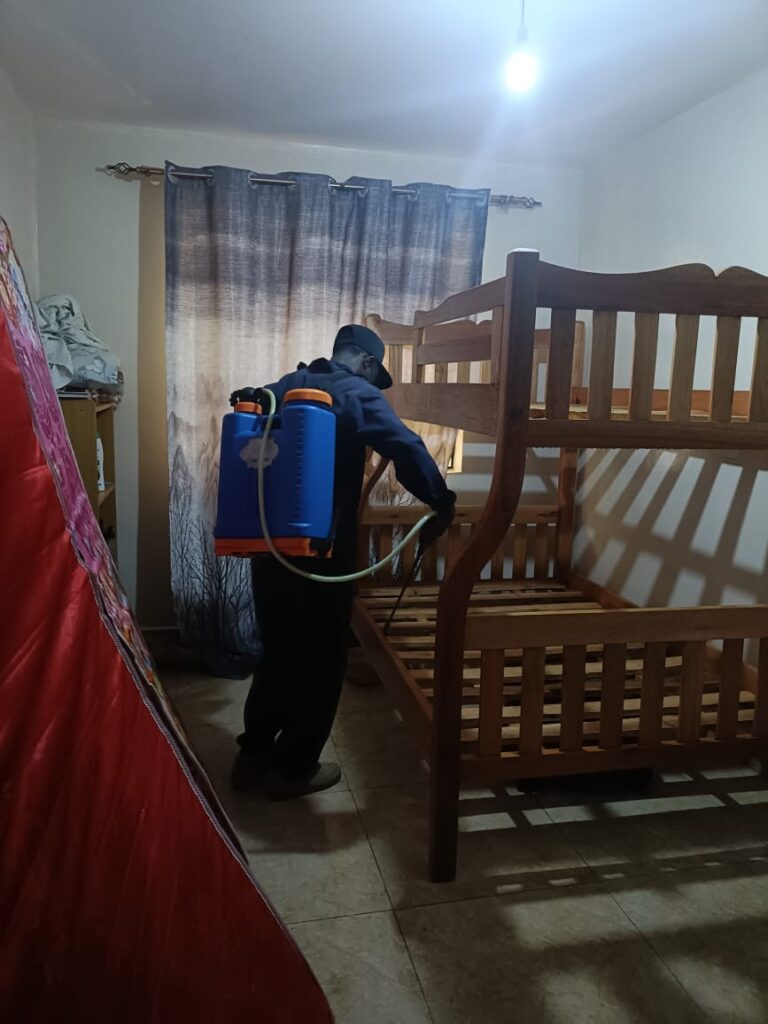 bedbugs control services