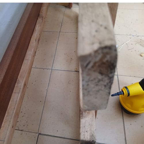 bedbugs fumigation services in Nairobi